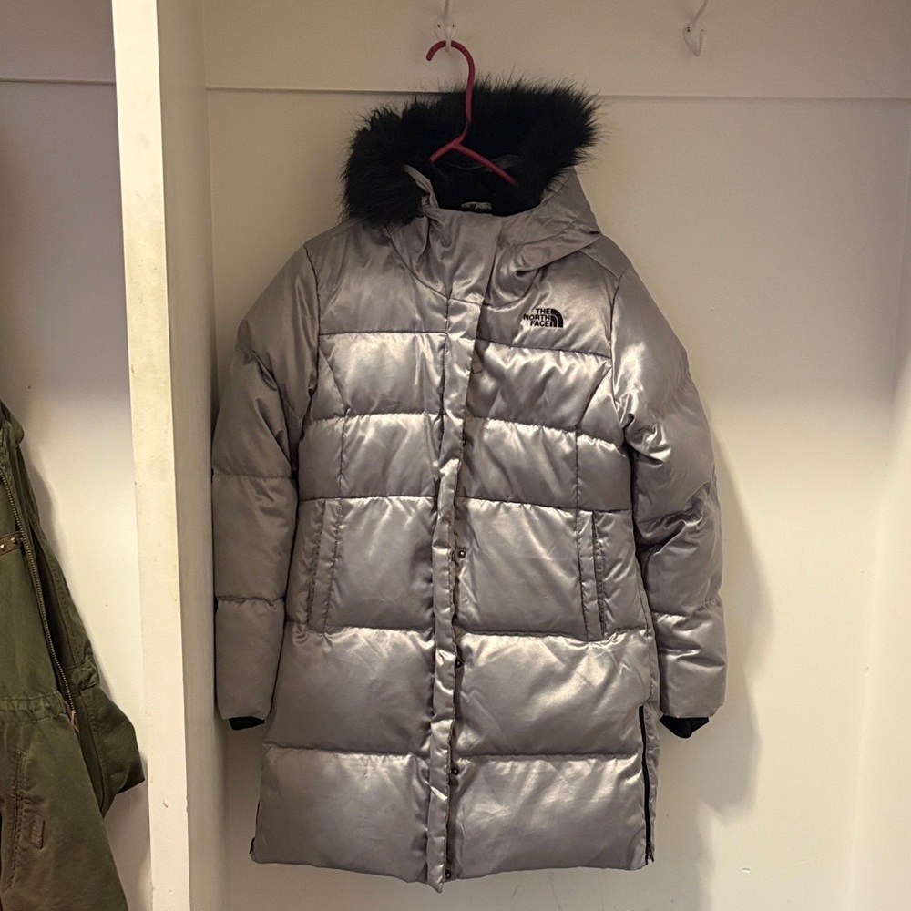 The North Face Metallic Gray Puffer Coat with Black Hood